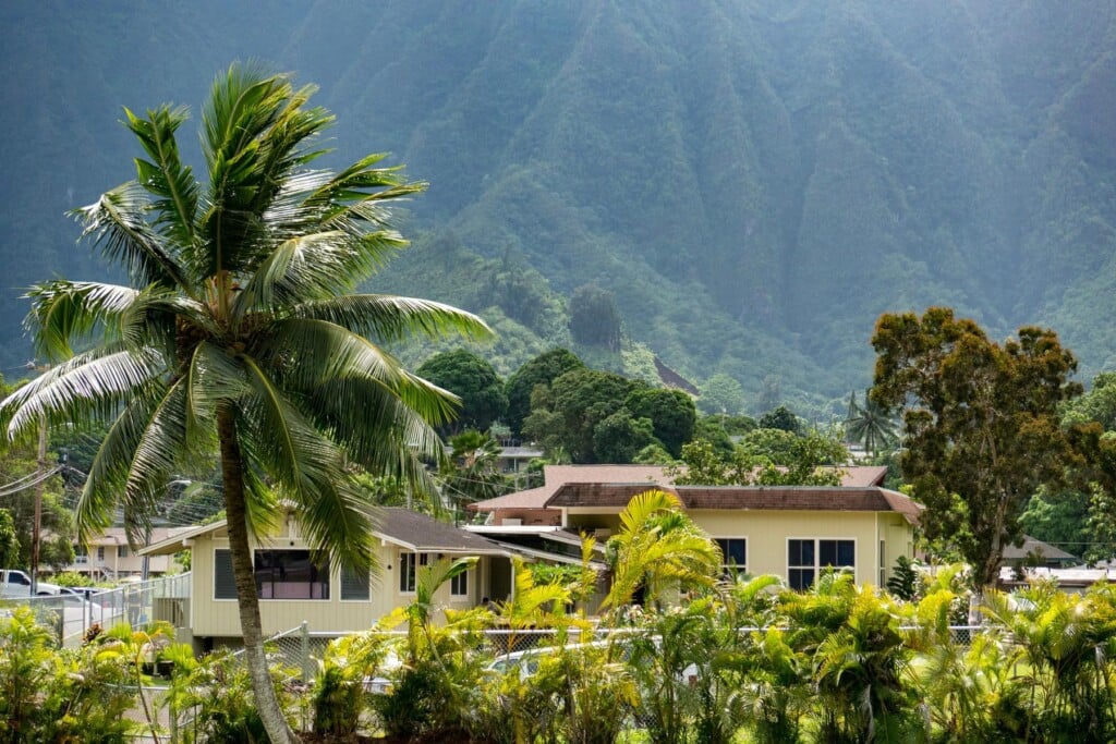 01 2023 Hren Oahu Gettyimages 1447083522