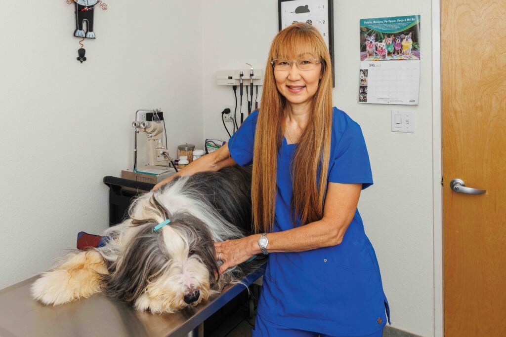 05 23 Hb Best Of Small Business Hero 04 Hawaii Veterinary Vision Care